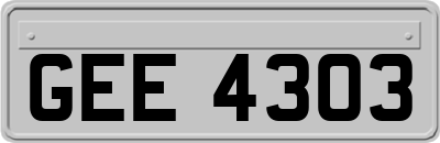 GEE4303