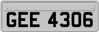 GEE4306