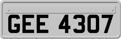GEE4307