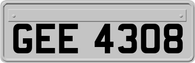 GEE4308