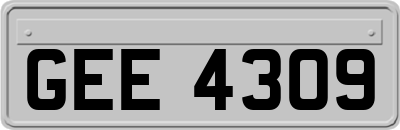 GEE4309