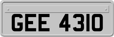 GEE4310