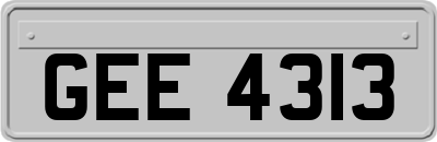 GEE4313