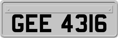 GEE4316