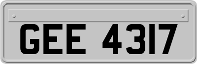 GEE4317