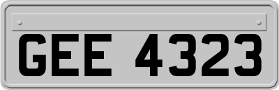 GEE4323