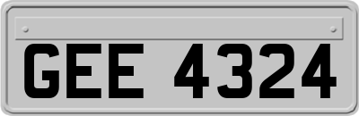 GEE4324
