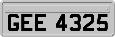 GEE4325