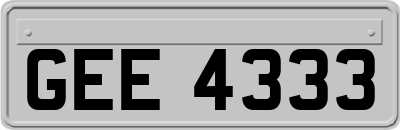 GEE4333