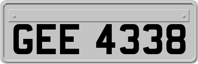 GEE4338