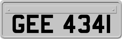 GEE4341
