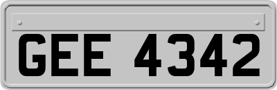 GEE4342
