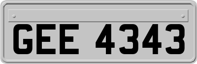 GEE4343