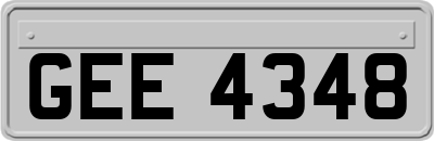 GEE4348