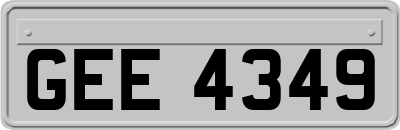 GEE4349