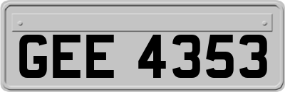 GEE4353
