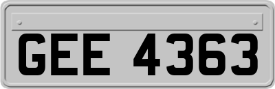 GEE4363