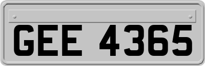 GEE4365