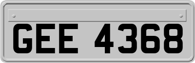 GEE4368