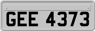 GEE4373