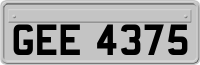 GEE4375