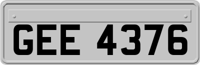 GEE4376