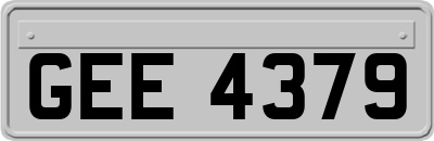 GEE4379