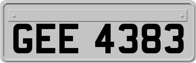 GEE4383