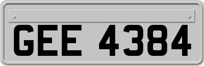 GEE4384
