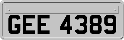 GEE4389
