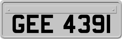 GEE4391