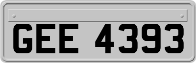 GEE4393