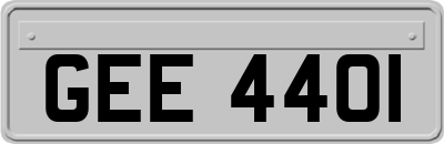 GEE4401