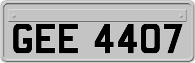 GEE4407