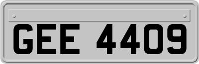GEE4409