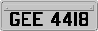 GEE4418