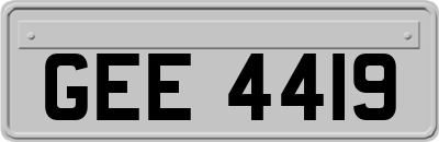 GEE4419
