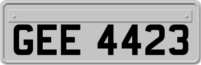 GEE4423