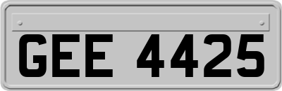 GEE4425