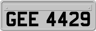 GEE4429