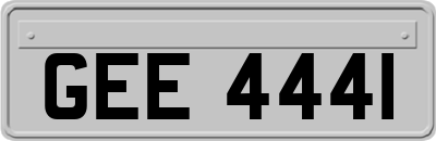 GEE4441