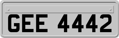 GEE4442