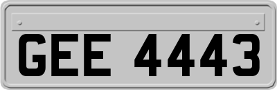 GEE4443
