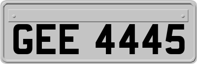 GEE4445
