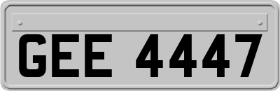 GEE4447