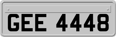 GEE4448