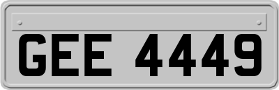 GEE4449