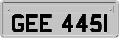 GEE4451