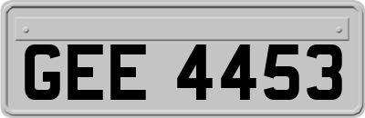 GEE4453