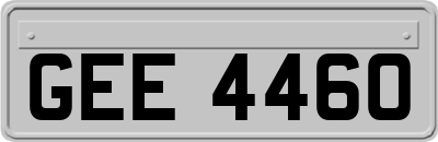 GEE4460